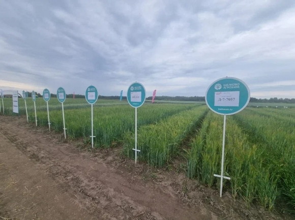 Тюменской сельскохозяйственной науке &ndash; 60