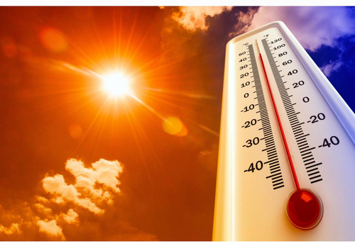 Вильфанд: в Московском регионе жара около 30 градусов задержится надолго