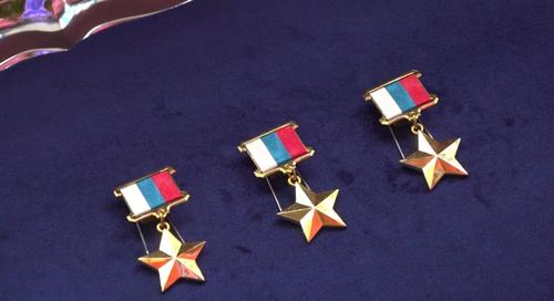 Министр обороны РФ вручил медали &laquo;Золотая Звезда&raquo; отличившимся участникам СВО