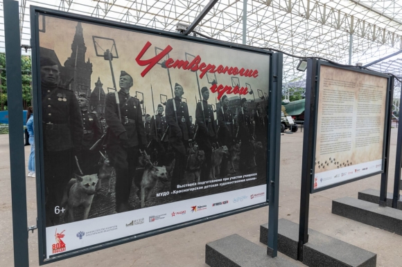 Музей Победы пригласил москвичей и гостей столицы узнать о подвигах служебных собак