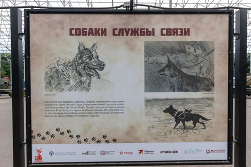 Музей Победы пригласил москвичей и гостей столицы узнать о подвигах служебных собак