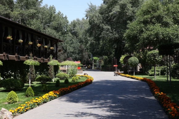 На Дону будут субсидировать создание туробъектов вдоль трассы М-4 &laquo;Дон&raquo;