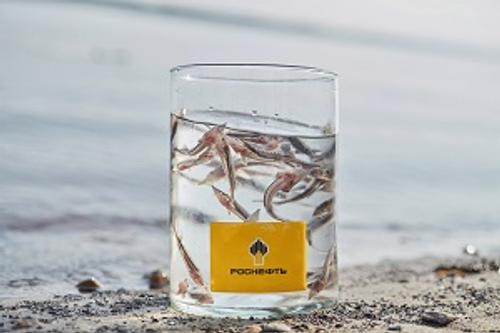 &laquo;РН-Юганскнефтегаз&raquo; выпустил в водоемы Югры более 4,6 миллионов мальков