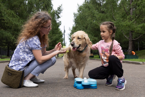 Сотни москвичей и гостей столицы стали участниками интерактивной программы Музея Победы в парке