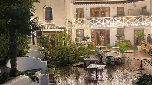 Непогода ночью разметала по Ялте деревья, кровли и провода