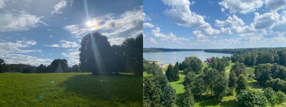 Осенью перелётные птицы покидают &laquo;Русь&raquo; с печалью