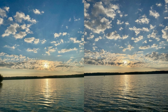 Осенью перелётные птицы покидают &laquo;Русь&raquo; с печалью