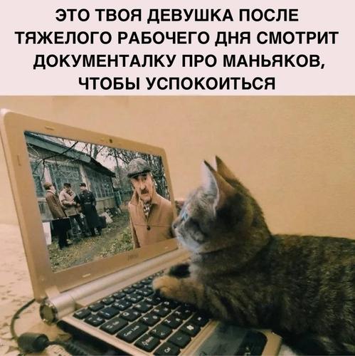 Почему женщины чаще мужчин смотрят фильмы про маньяков