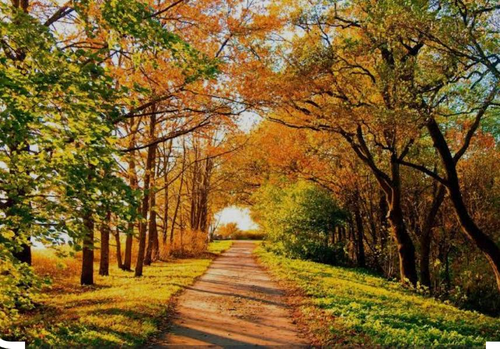 Последние жаркие и солнечные дни этого года наступили в средней полосе России