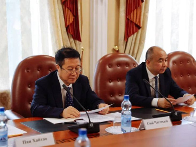 Строительство совмещённого моста через Амур обсудили губернатор Амурской области и губернатор китайской провинции Хэйлунцзян