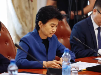 Строительство совмещённого моста через Амур обсудили губернатор Амурской области и губернатор китайской провинции Хэйлунцзян