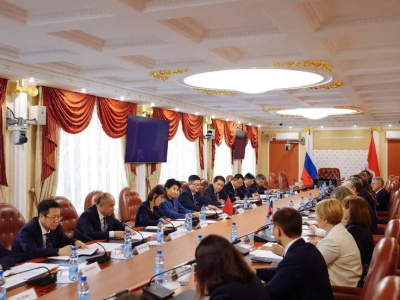 Строительство совмещённого моста через Амур обсудили губернатор Амурской области и губернатор китайской провинции Хэйлунцзян