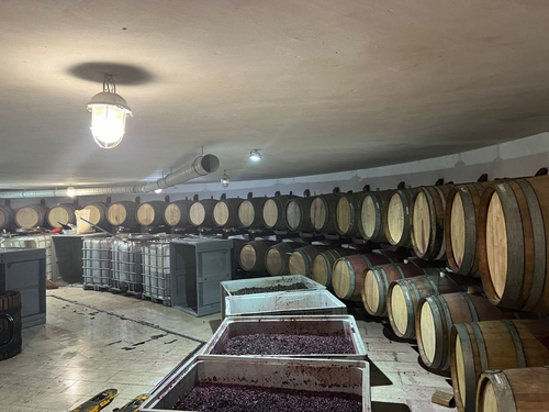 Виноделы просят смягчить правила продления лицензий