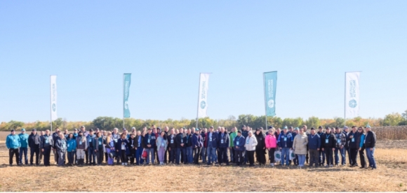 Подсолнечник нового поколения: высокоурожайные гибриды и инновационные схемы защиты