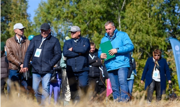 Подсолнечник нового поколения: высокоурожайные гибриды и инновационные схемы защиты