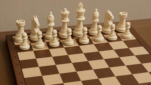 Шахматист защитит белое от черного